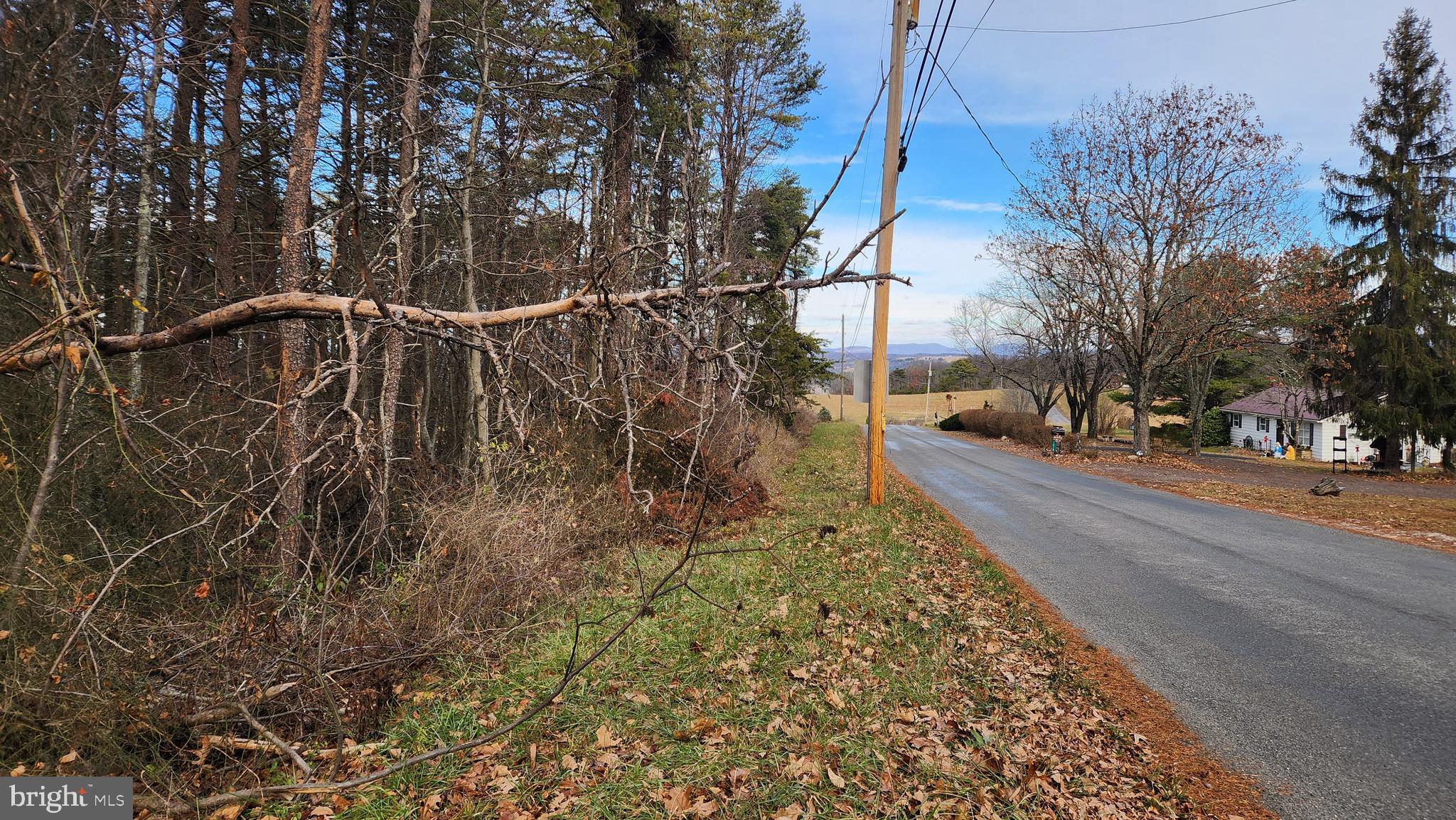 11901 Price Road Northeast Little Orleans, MD 21766 - Photo 6 of 8