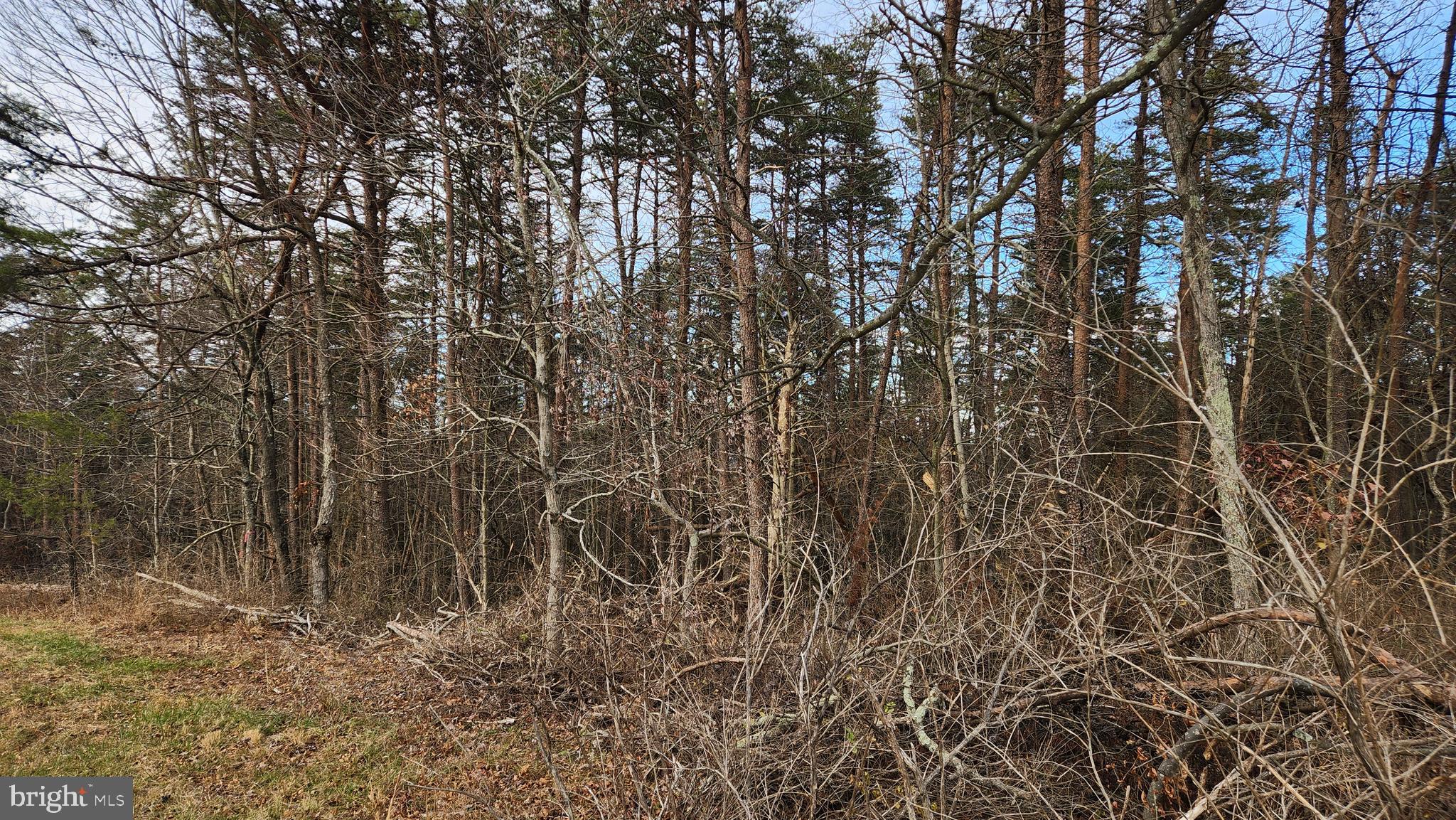 11901 Price Road Northeast Little Orleans, MD 21766 - Photo 7 of 8