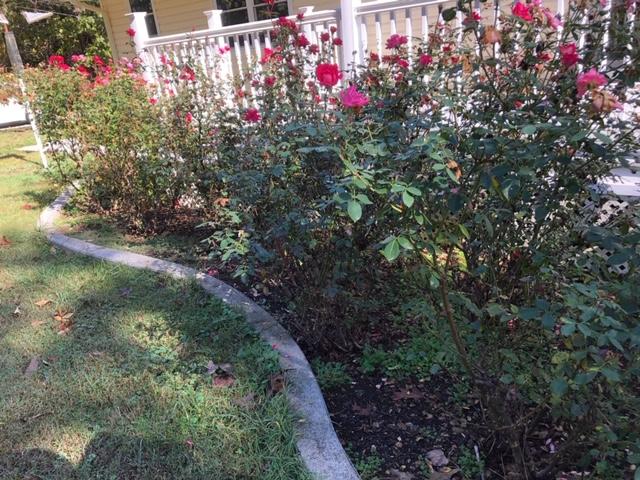 7120 McDaniel Road Harrison, TN 37341 - Photo 3 of 43 IMG_0339