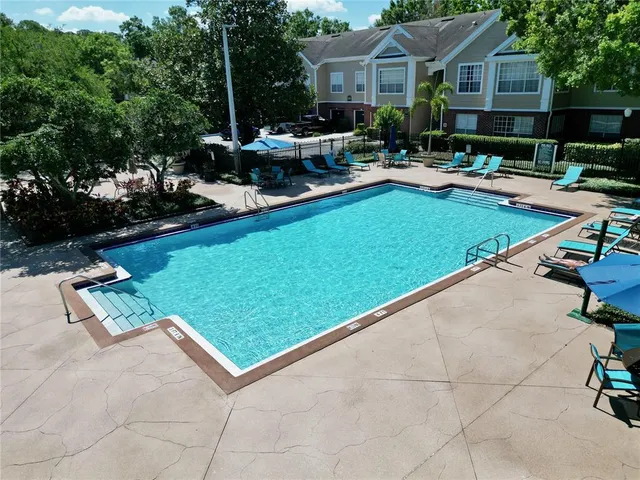 a view of a park with potted plants and a large tree