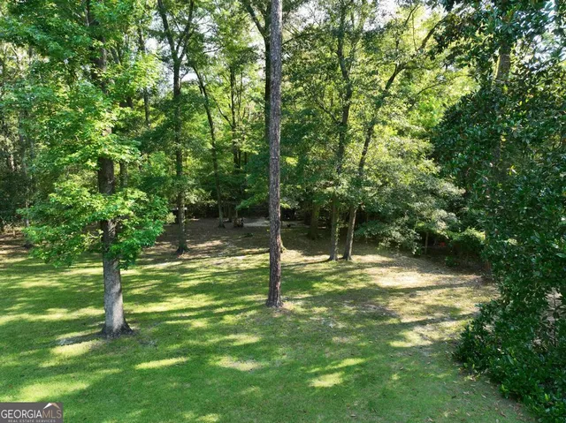 a backyard of a house with lots of green space