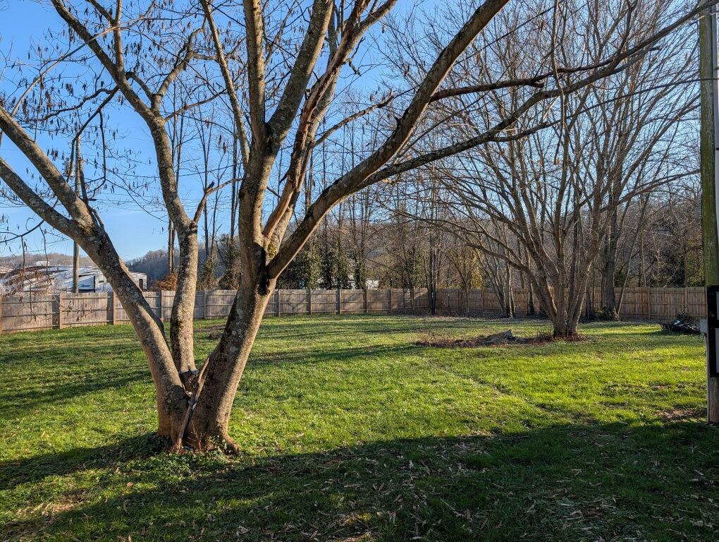 166 Wellsburg Road Foster, KY 41043 - Photo 14 of 14 166 Wellsburg Rd_Yard