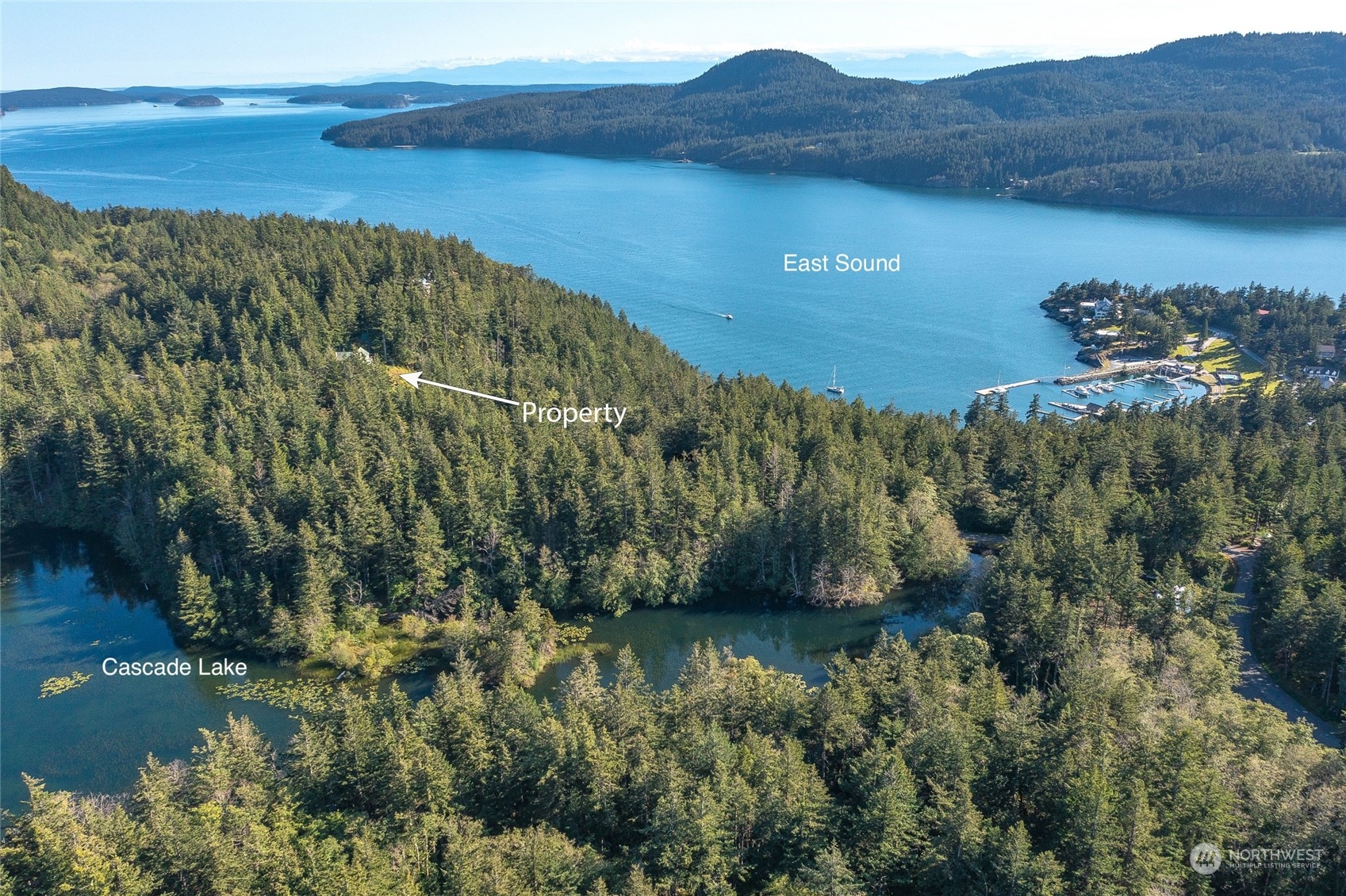 381 Geiser Way Orcas Island, WA 98245 - Photo 40 of 40 a view of a lake with a mountain
