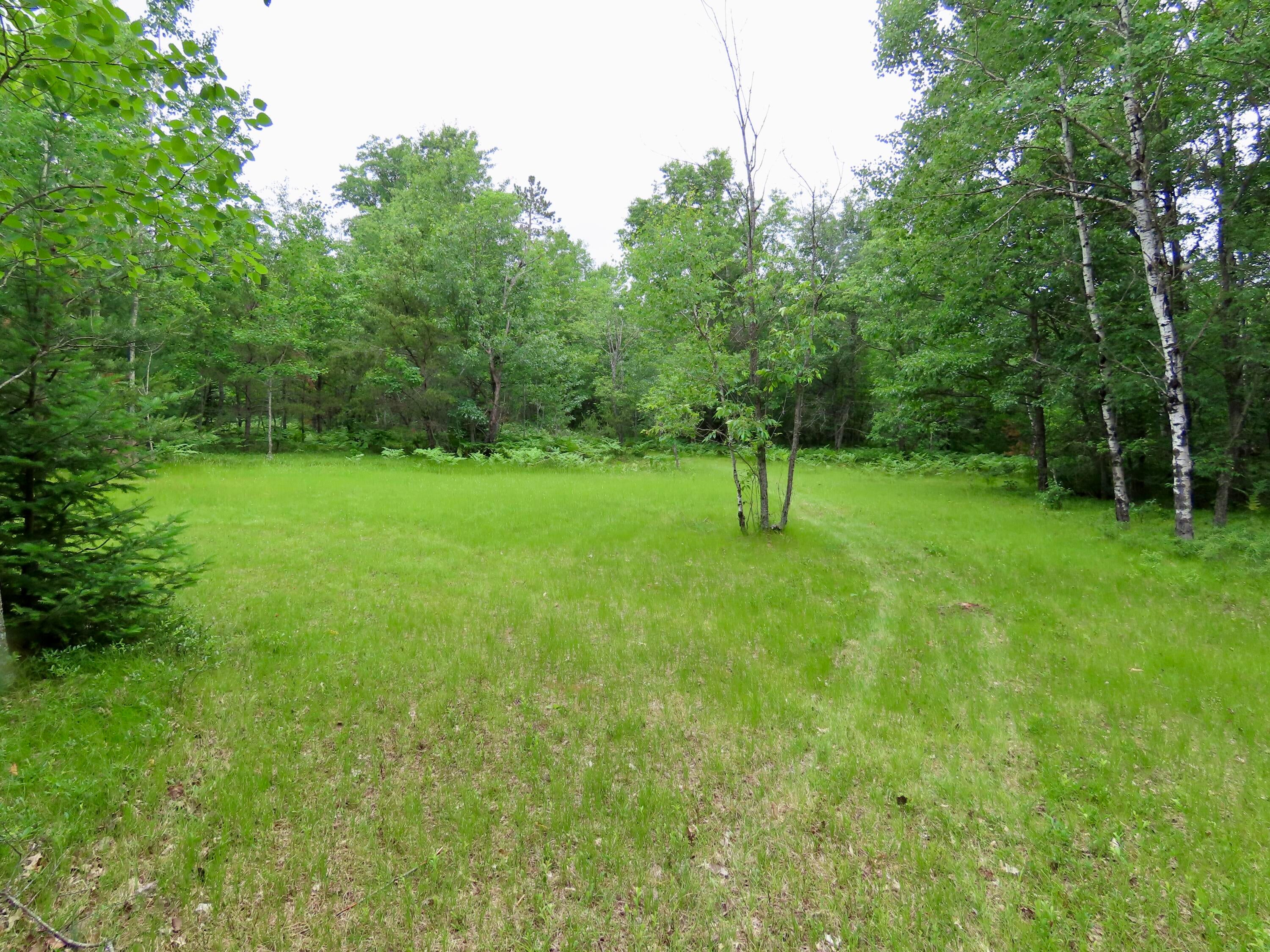 12775 Kohlman Road Atlanta, MI 49709 - Photo 54 of 61 Gallery Image 54