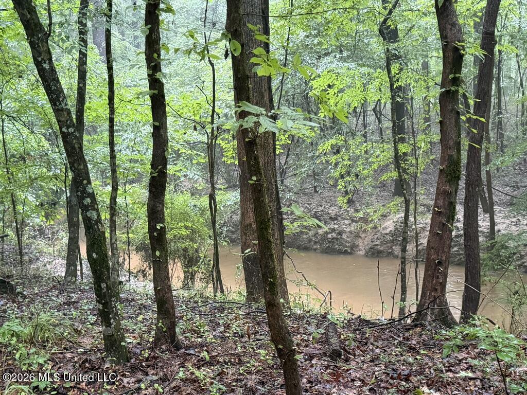 Meredith Road Collinsville, MS 39325 - Photo 3 of 6 4D461FEC-260D-4BFA-A6BB-DE3B22F77501_1_1
