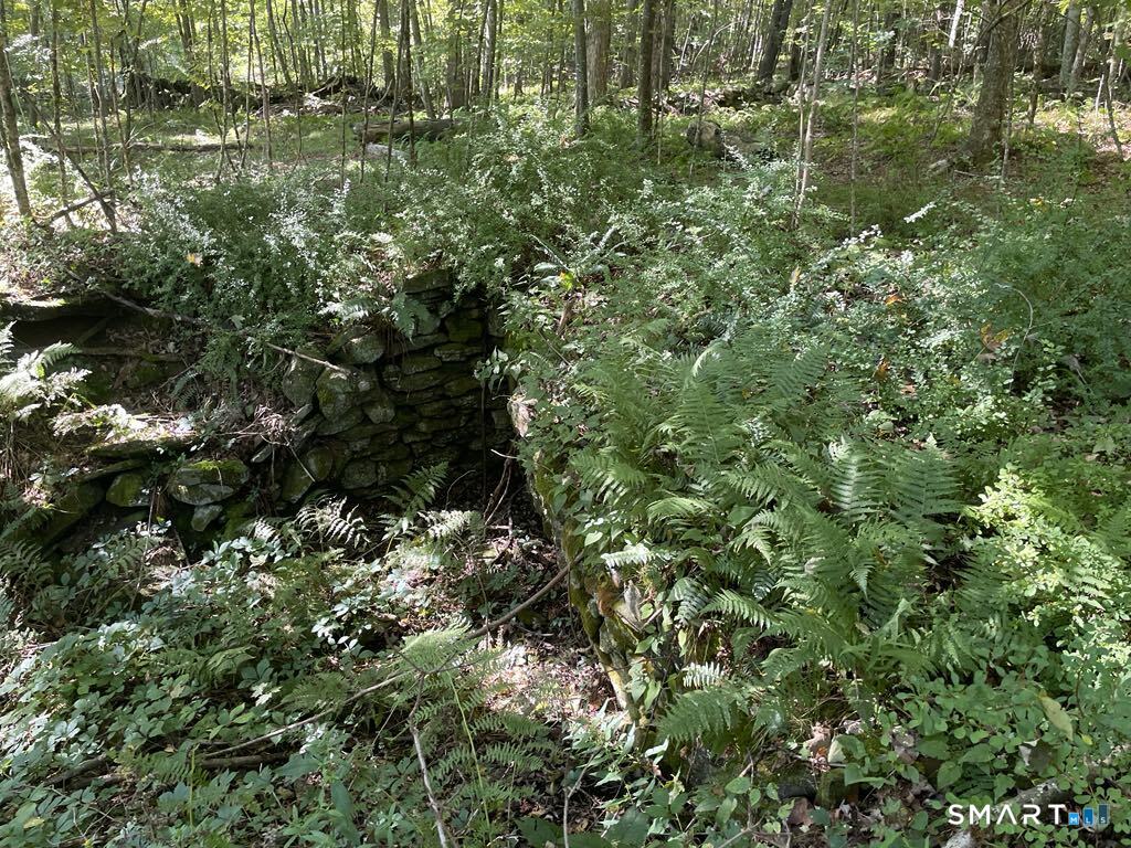 Kozey Road Eastford, CT 06242 - Photo 13 of 14