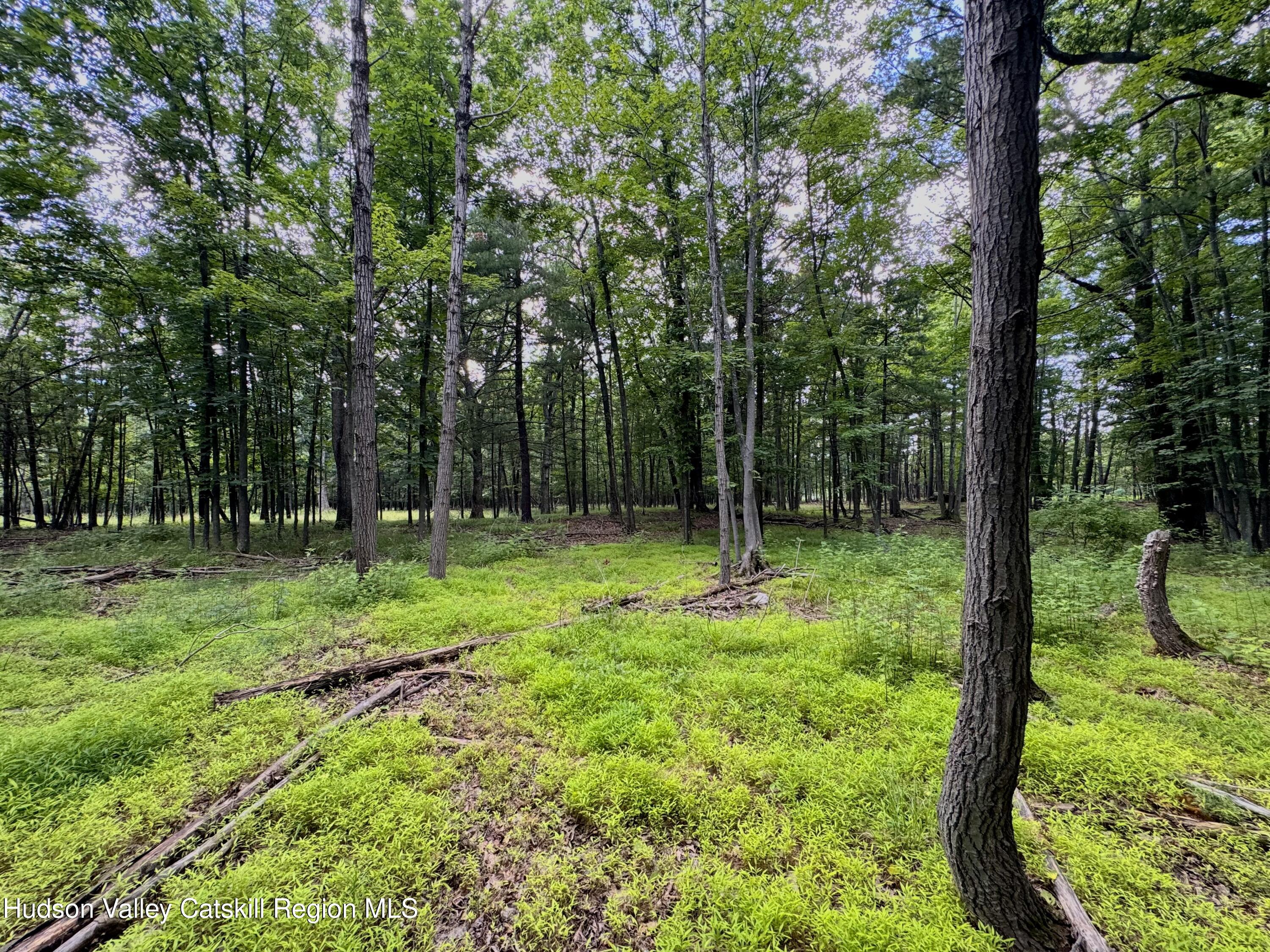334 Pollys Rock Road Round Top, NY 12473 - Photo 8 of 11 8