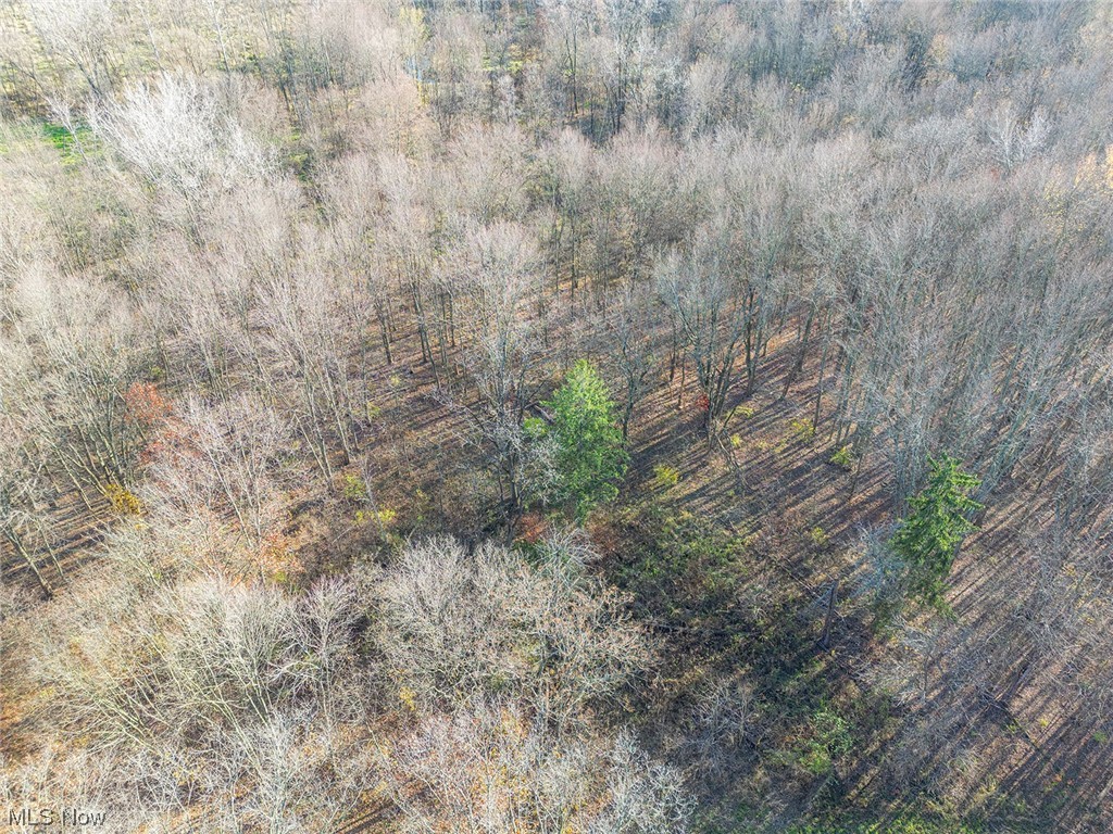 7622 Garman Road Burbank, OH 44214 - Photo 11 of 14 View of bird's eye view