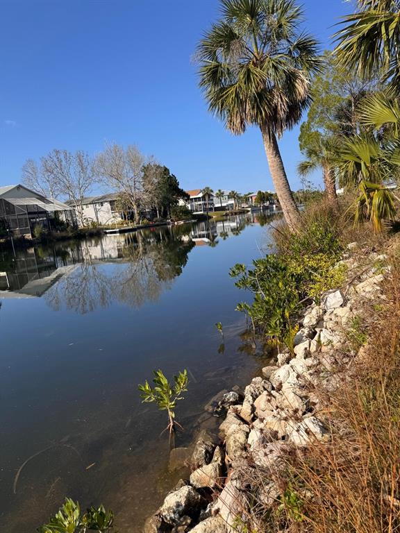 3323 Shoal Line Boulevard Hernando Beach, FL 34607 - Photo 9 of 22