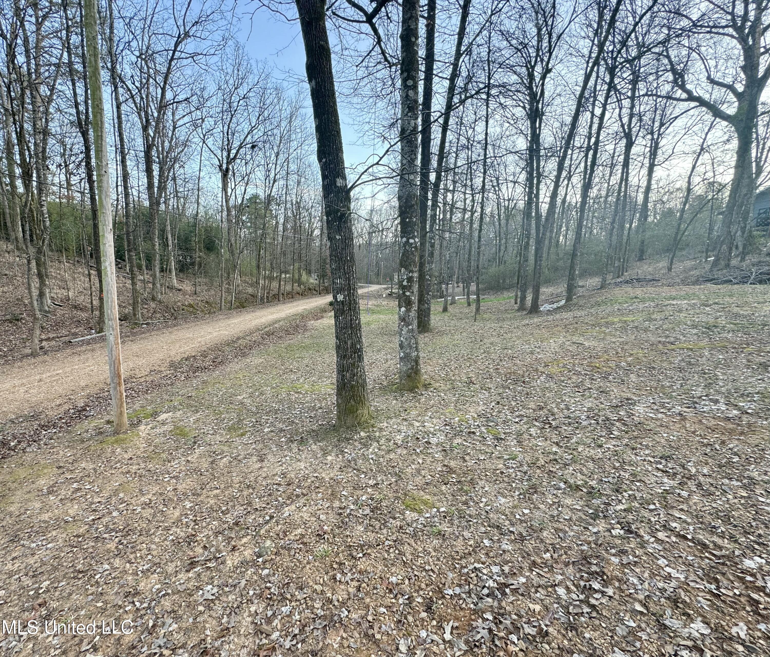 85 Gum Road Coffeeville, MS 38922 - Photo 15 of 15 IMG_1267