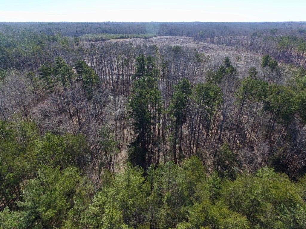 626 Double Bridges Road Meherrin, VA 23954 - Photo 5 of 34 Gallery Image 5