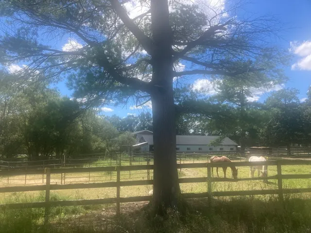 $1,299,000 | 102 High Street, Plainville, MA 02762