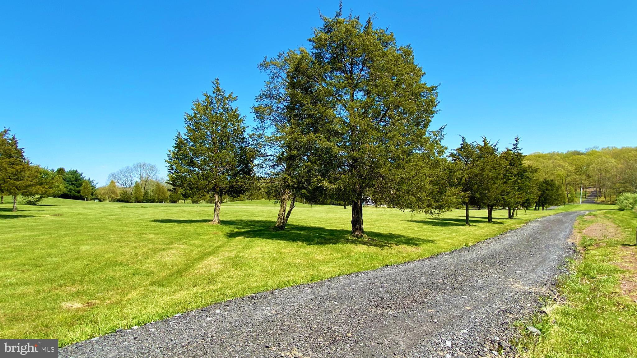 176 Smithtown Road Pipersville, PA 18947 - Photo 56 of 56 View of the driveway from the house