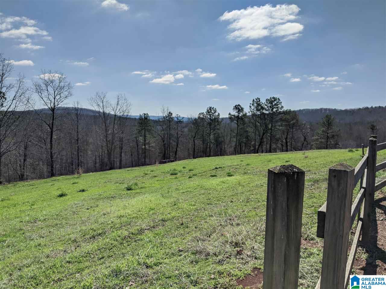 1731 Bolton Road Talladega, AL 35160 - Photo 7 of 46