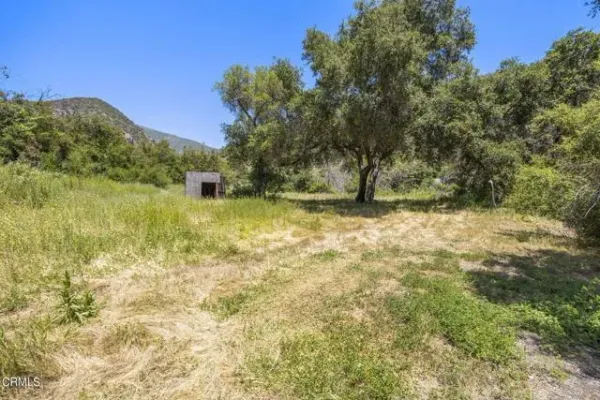 a view of a yard with an trees