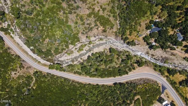 0 Maricopa Highway Ojai, CA 93023 - Photo 5 of 6 a picture of a tree in a forest