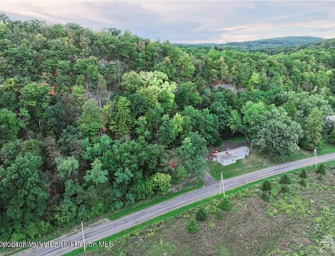 281 Bronck Mill Road Coxsackie, NY 12192 - Photo 2 of 9 a view of a yard with plants and a wooden fence