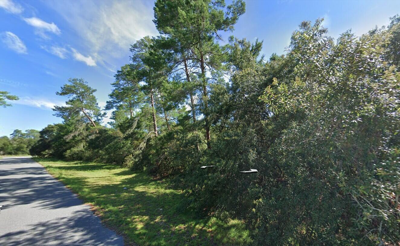 Tbd Southwest 37th Terrace Road Ocala, FL 34473 - Photo 8 of 14 Screenshot 2024-01-30 at 12.29.40 PM