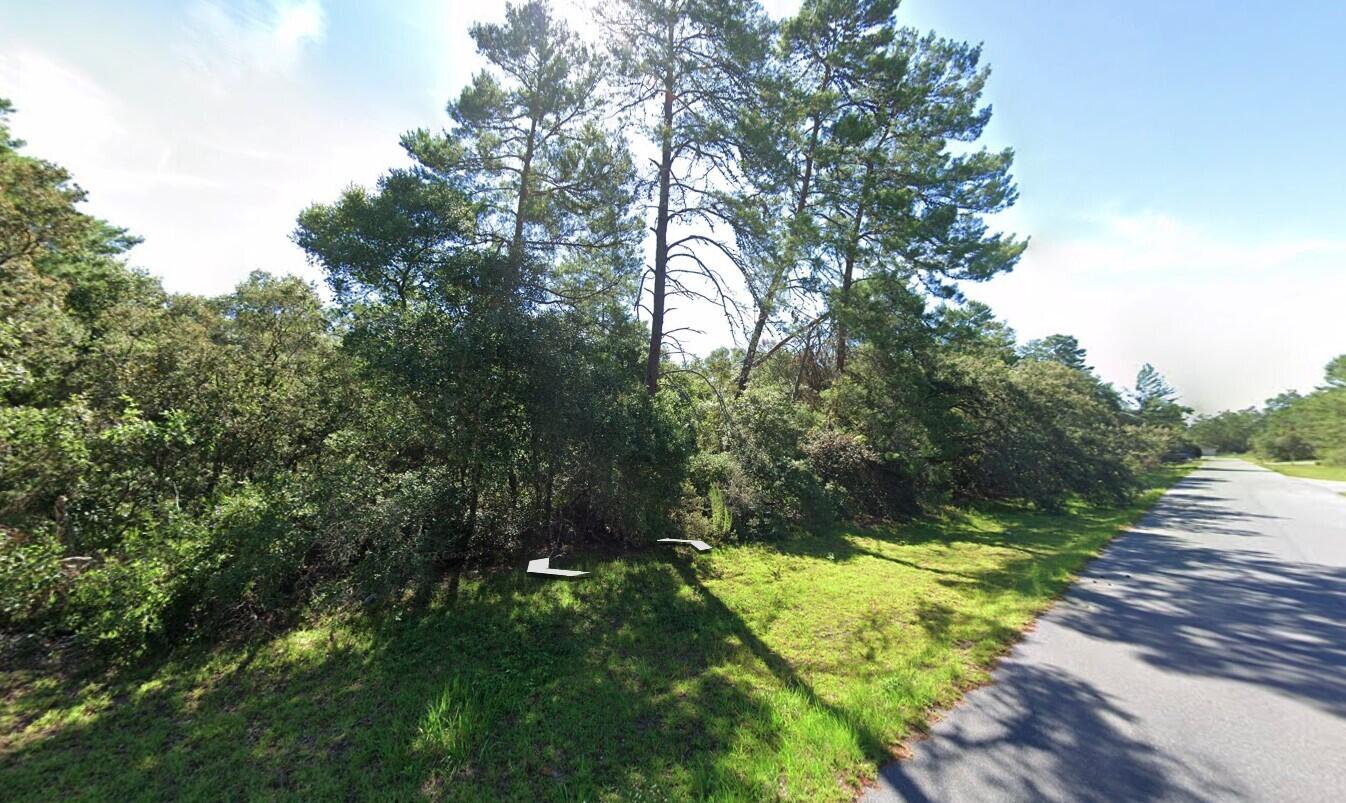 Tbd Southwest 37th Terrace Road Ocala, FL 34473 - Photo 10 of 14 Screenshot 2024-01-30 at 12.30.15 PM