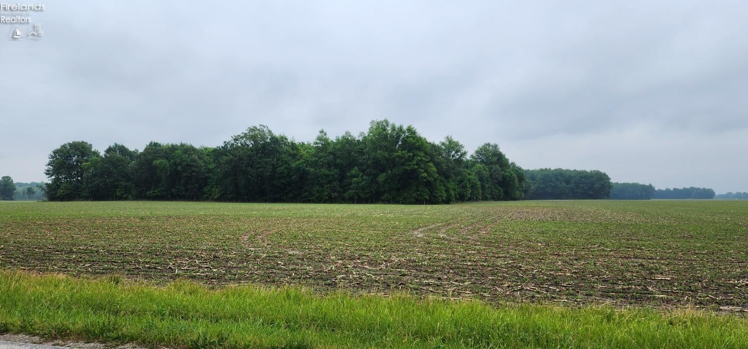 0 East Co Road Republic, OH 44867 - Photo 6 of 10 Gallery Image 6