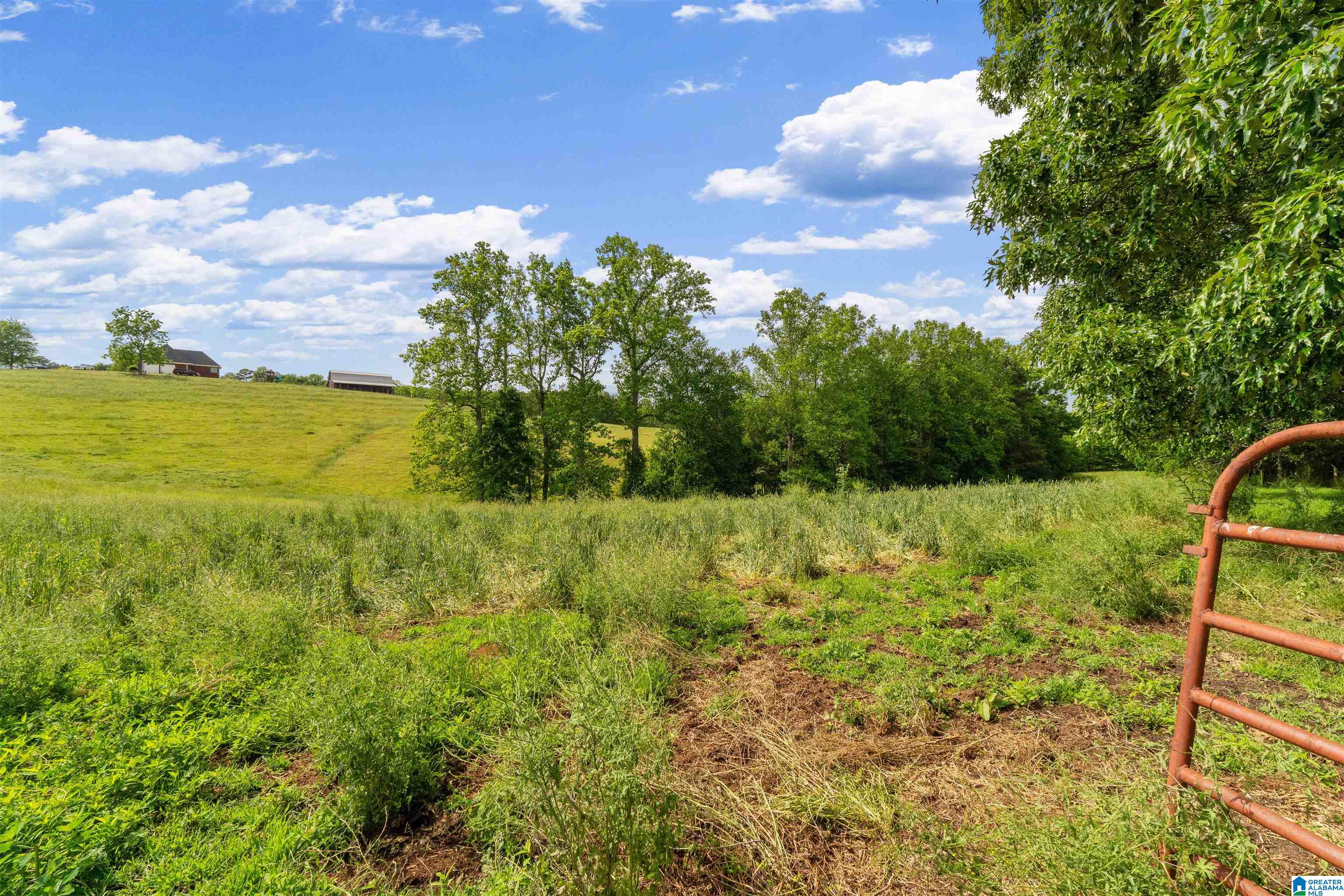 1435 County Road 633 Ranburne, AL 36273 - Photo 15 of 96