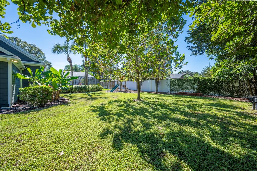 1909 New Jersey Road Lakeland, FL 33803 - Photo 75 of 93 a view of a backyard with large trees