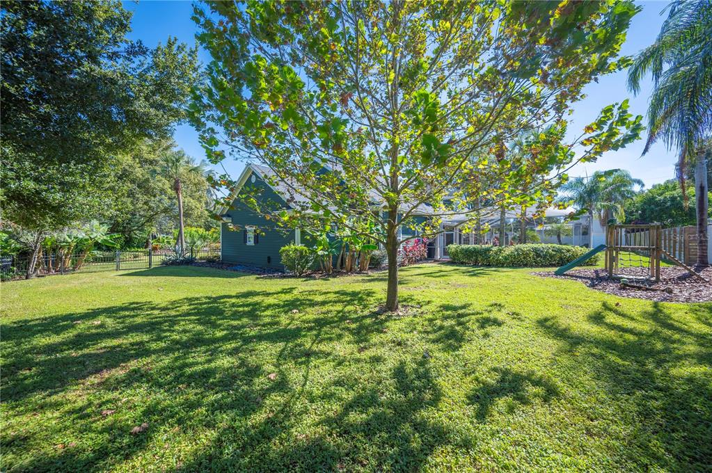 1909 New Jersey Road Lakeland, FL 33803 - Photo 75 of 93 a view of a park with a tree