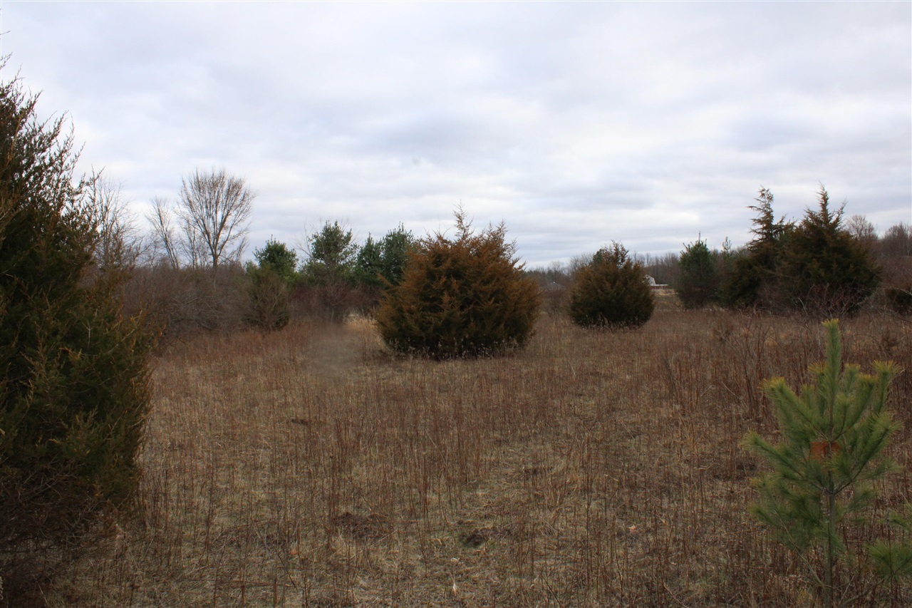 16202 West Burt Road Chesaning, MI 48616 - Photo 31 of 34 Gallery Image 31