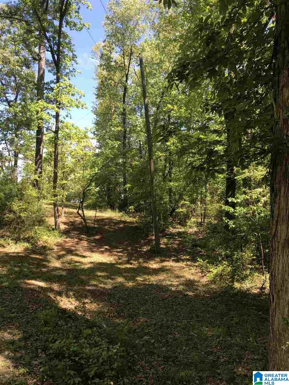 111 County Road 111 Montevallo, AL 35115 - Photo 22 of 46