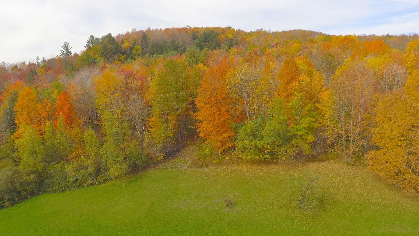 0 Green Mountain Road Richford, VT 05476 - Photo 4 of 34 Gallery Image 4
