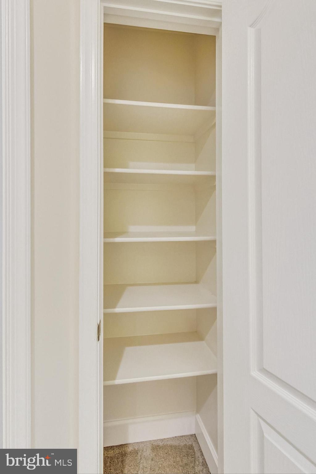 6104 Cool Spring Terrace South Frederick, MD 21701 - Photo 41 of 67 a view of walk in closet with empty racks