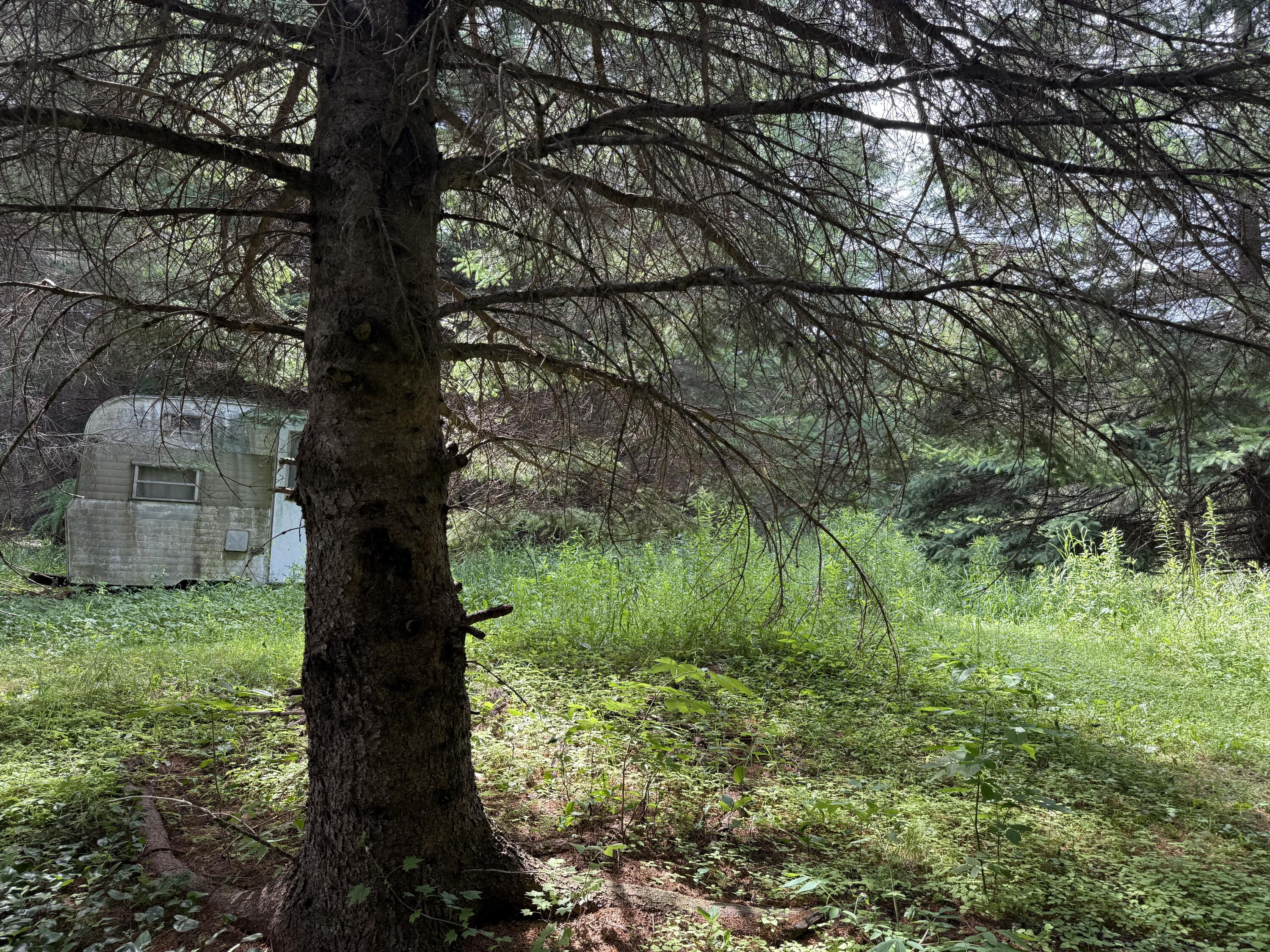 496 Britton Road Monticello, ME 04760 - Photo 21 of 40 IMG_1956