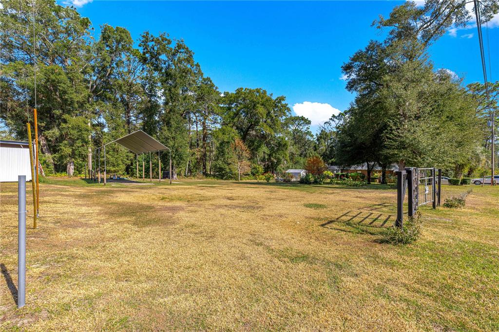 6401 East Holly Street Inverness, FL 34452 - Photo 51 of 51 a view of yard with trees