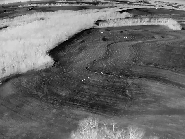 $429,300 | 27760 Y Highway, Oregon, MO 64473