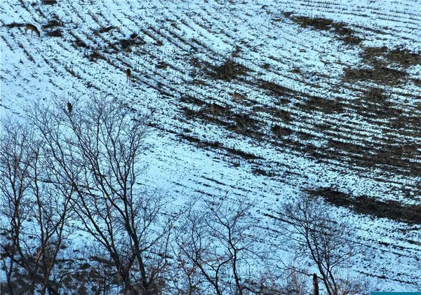 $429,300 | 27760 Y Highway, Oregon, MO 64473