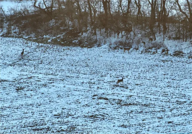 $429,300 | 27760 Y Highway, Oregon, MO 64473