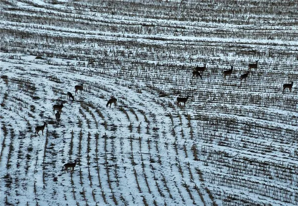 $429,300 | 27760 Y Highway, Oregon, MO 64473