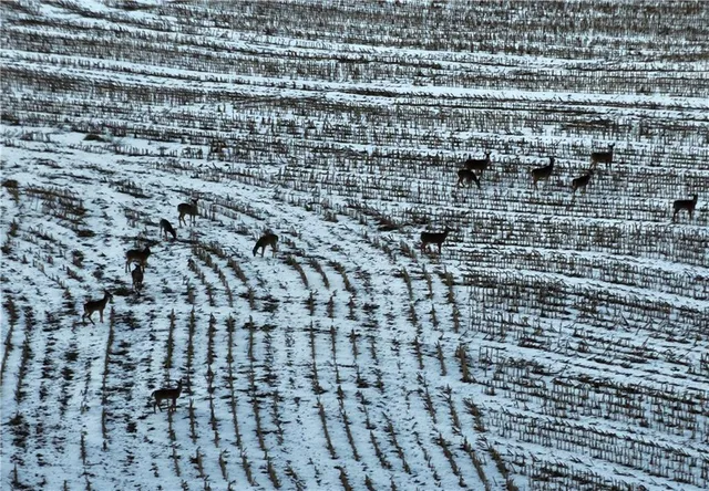 $429,300 | 27760 Y Highway, Oregon, MO 64473