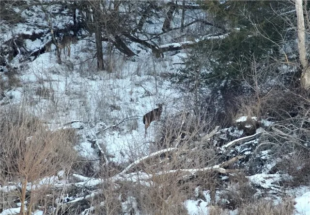 $429,300 | 27760 Y Highway, Oregon, MO 64473