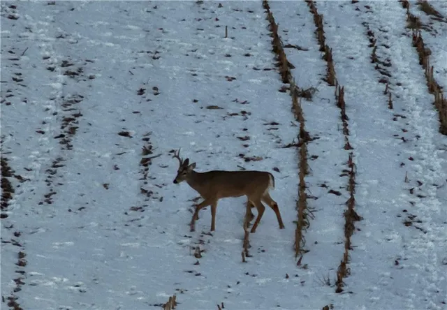 $429,300 | 27760 Y Highway, Oregon, MO 64473