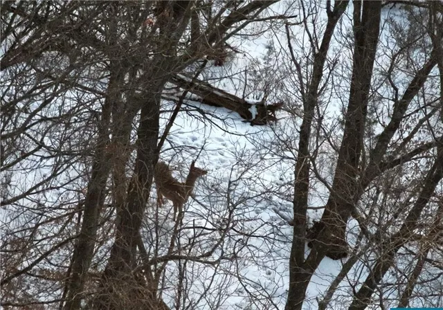 $429,300 | 27760 Y Highway, Oregon, MO 64473