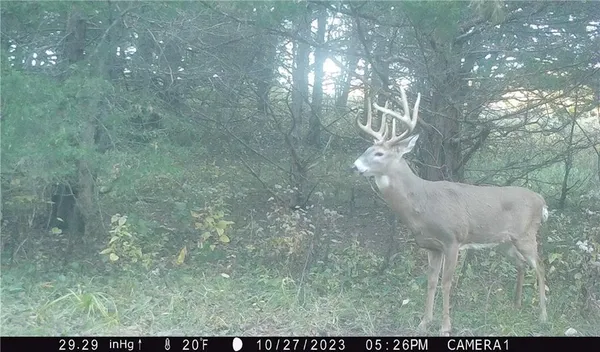 $429,300 | 27760 Y Highway, Oregon, MO 64473