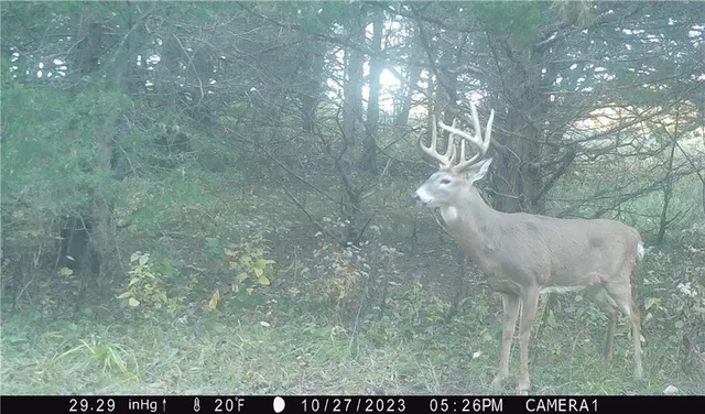 $429,300 | 27760 Y Highway, Oregon, MO 64473