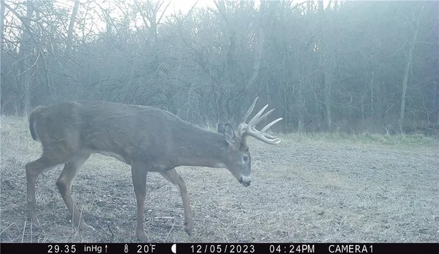 $429,300 | 27760 Y Highway, Oregon, MO 64473