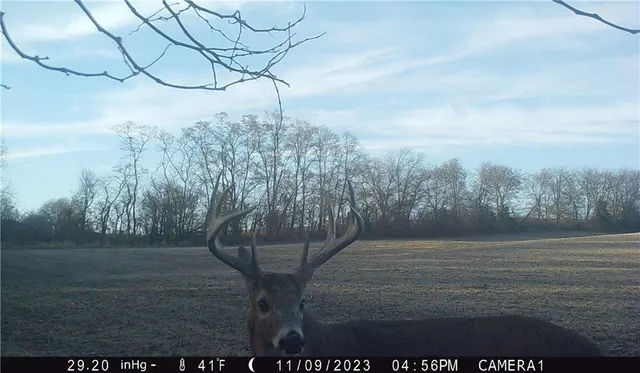 $429,300 | 27760 Y Highway, Oregon, MO 64473