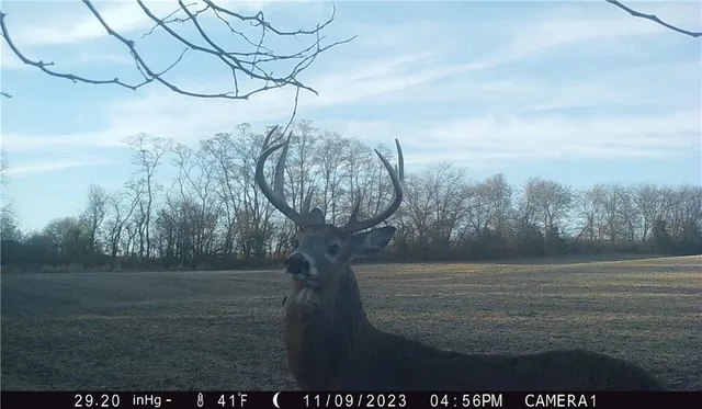 $429,300 | 27760 Y Highway, Oregon, MO 64473