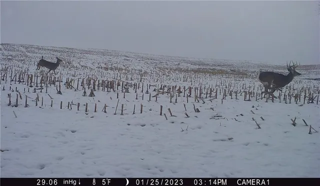 $429,300 | 27760 Y Highway, Oregon, MO 64473