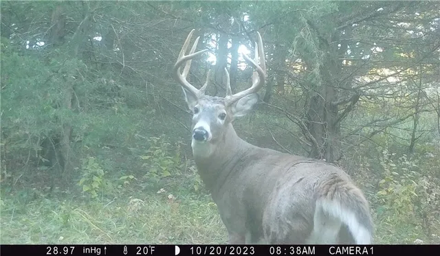 $429,300 | 27760 Y Highway, Oregon, MO 64473