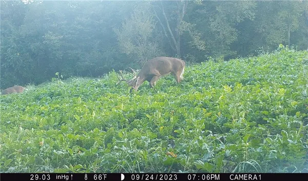 $429,300 | 27760 Y Highway, Oregon, MO 64473