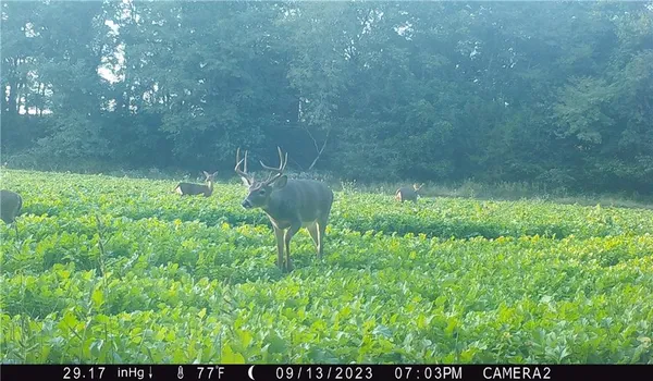 $429,300 | 27760 Y Highway, Oregon, MO 64473